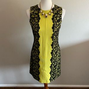 Synthia Steffe sheath mixed media lace dress